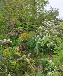 IMG_20230519_175715-1