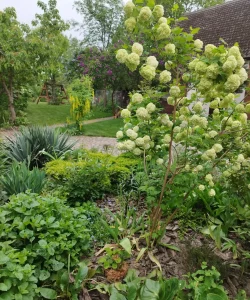 IMG_20230519_180226-1