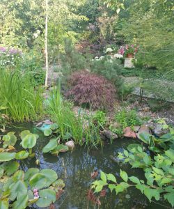 IMG_20230708_185928-1-1152x1536