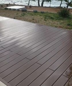 IMG_20231205_083440-1