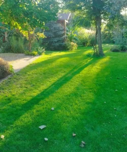 IMG_20240921_074523-_1_-1